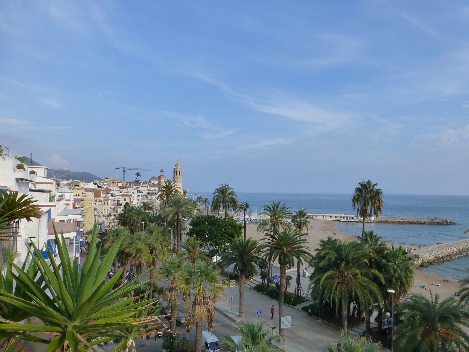 QLIO ORG FOTOS  noviembre 2012