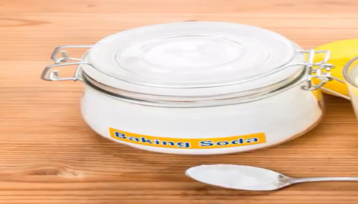 Las 6 plagas mas comunes en un jardin,Plaguicidas Orgánicos caseros