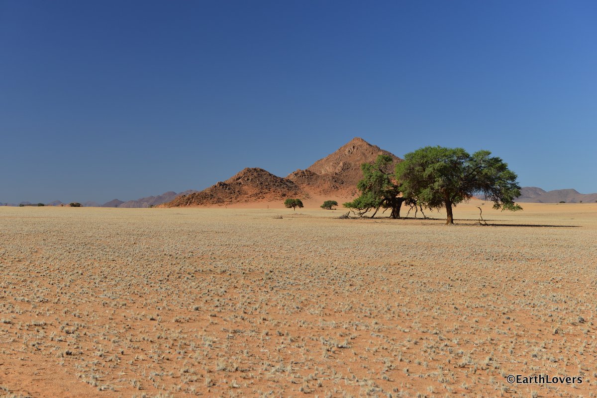 EarthLoversOnTour South of Namibia Dry, Drier, Driest / Südnamibia