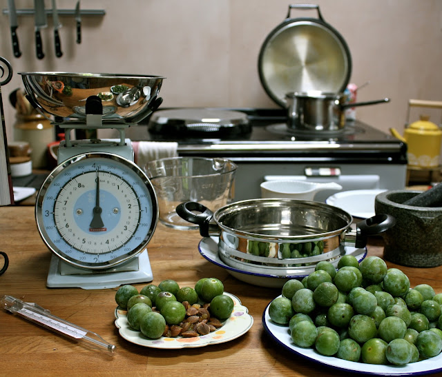preserving greengages