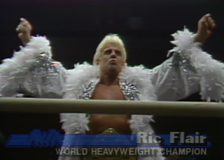 NWA CLASH OF THE CHAMPIONS 1 - 1988: Ric Flair kept his NWA World Heavyweight Championship in a 45 minute draw with Sting