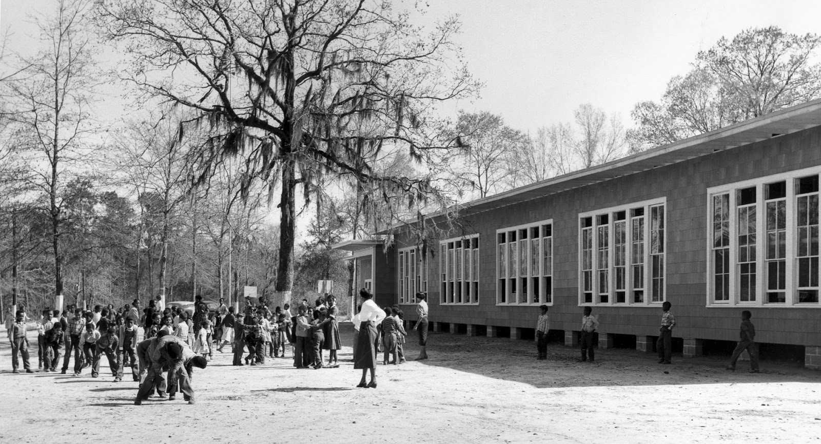 Tammany Family Where Did The Name Come From?