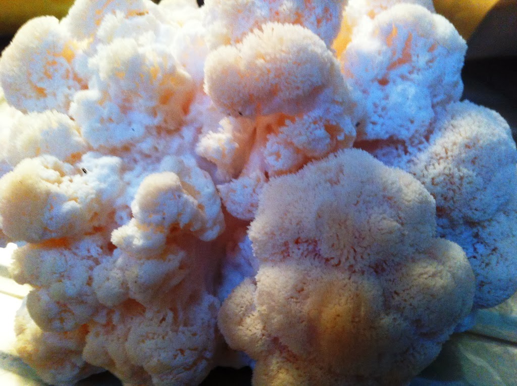 Mull Im Meer Geht Uns Alle An Kunst