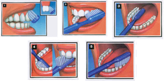 clipart gratuit dentiste - photo #27