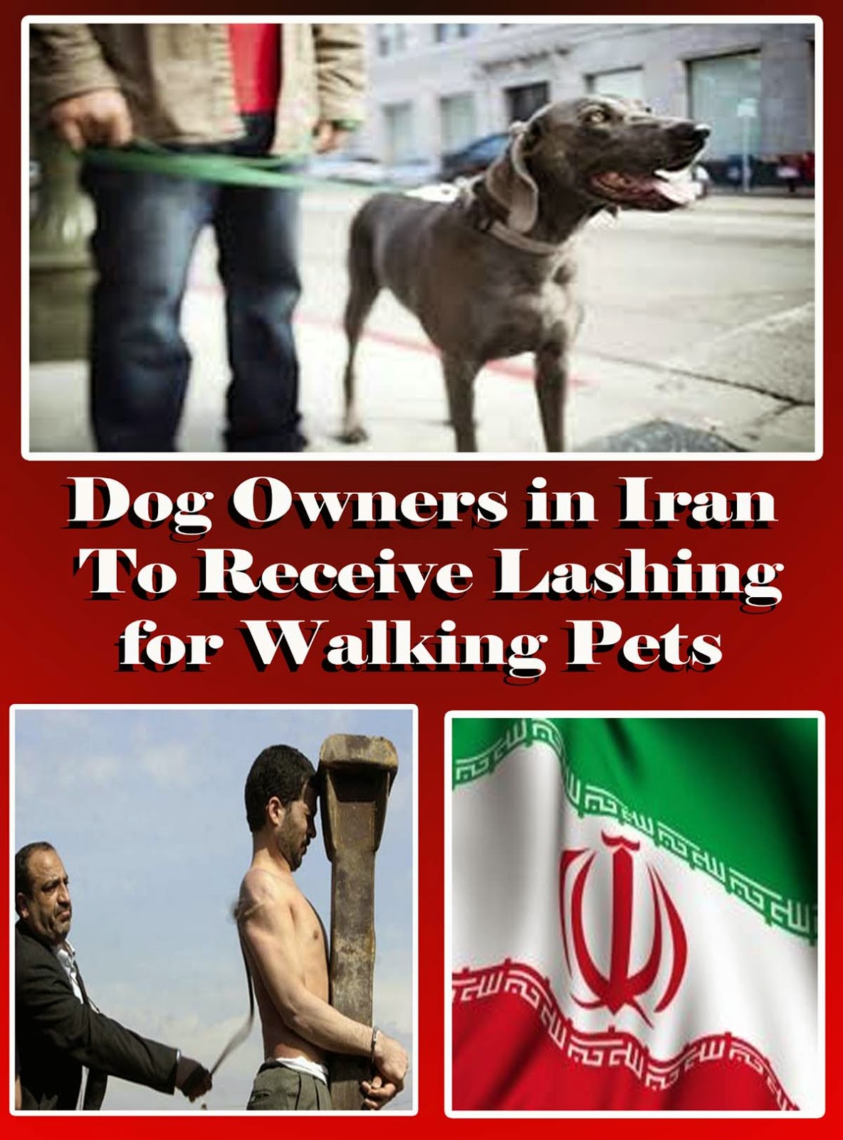 Dog Owners in Iran To Receive Lashing for Walking their Pets Nomadic