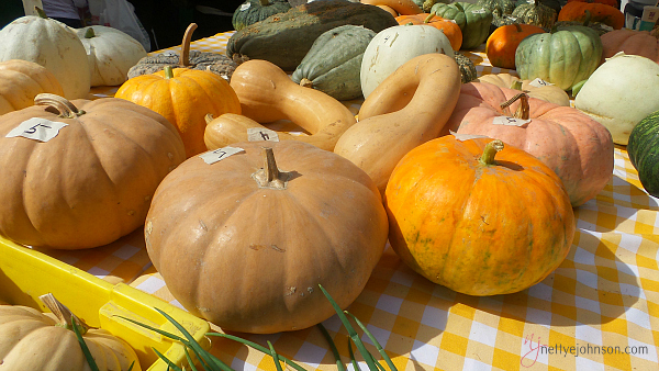 NJPhotoPumpkins