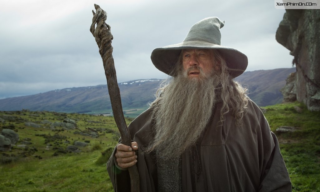The Hobbit: Hành Trình Vô Định