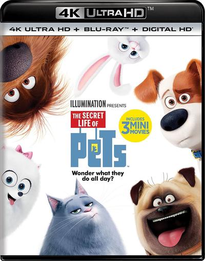 The Secret Life Of Pets (2016) 2160p HDR BDRip Dual Latino-Inglés [Subt. Esp] (Animación. Comedia)