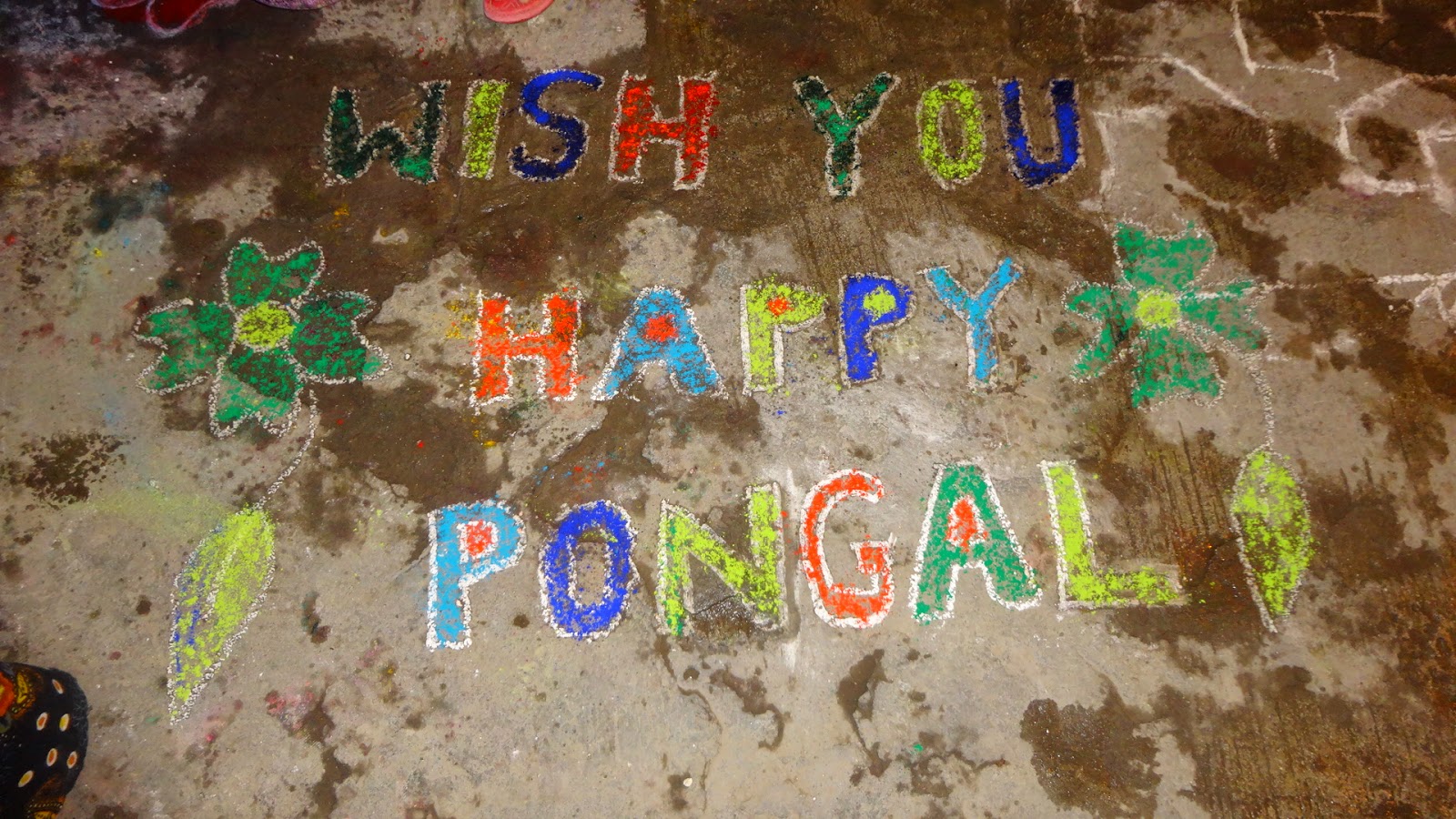 Pongal and Festival of Andhra Pradesh AP Heritage