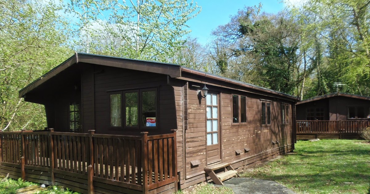 Ann Hyde Artist Isle Of Wight Log Cabin