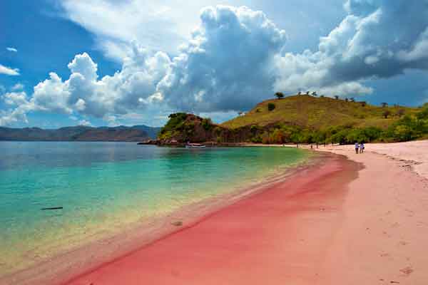 Objek Wisata Indah Wisata Ke Pantai Pink di Pulau Lombok