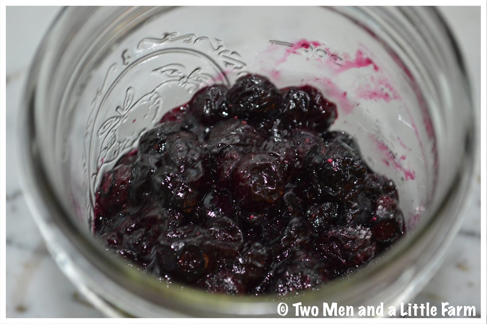 Two Men and a Little Farm OVEN ROASTED BLUEBERRIES