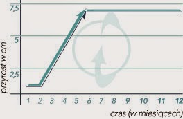 http://track.xtrasize.pl/product/XtraSize/?pid=114&uid=1917