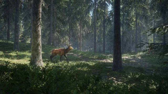 theHunter: Call of the Wild