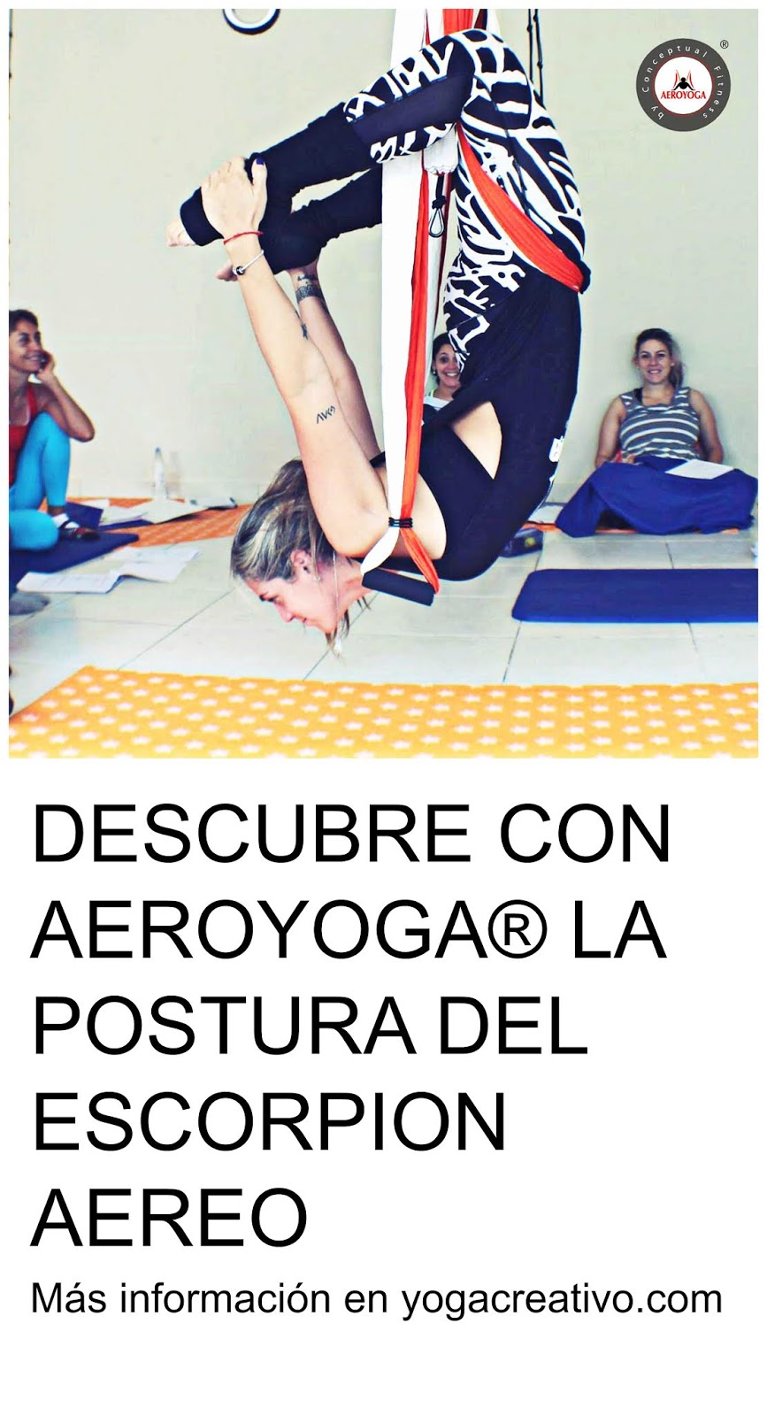Certificación Yoga Aéreo, Descubre el Nuevo Columpio Oficial AeroYoga ®  para el Curso 2019/20 – Yoga Creativo