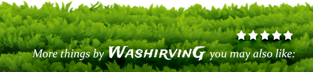 More things by WashirvinG you may also like: