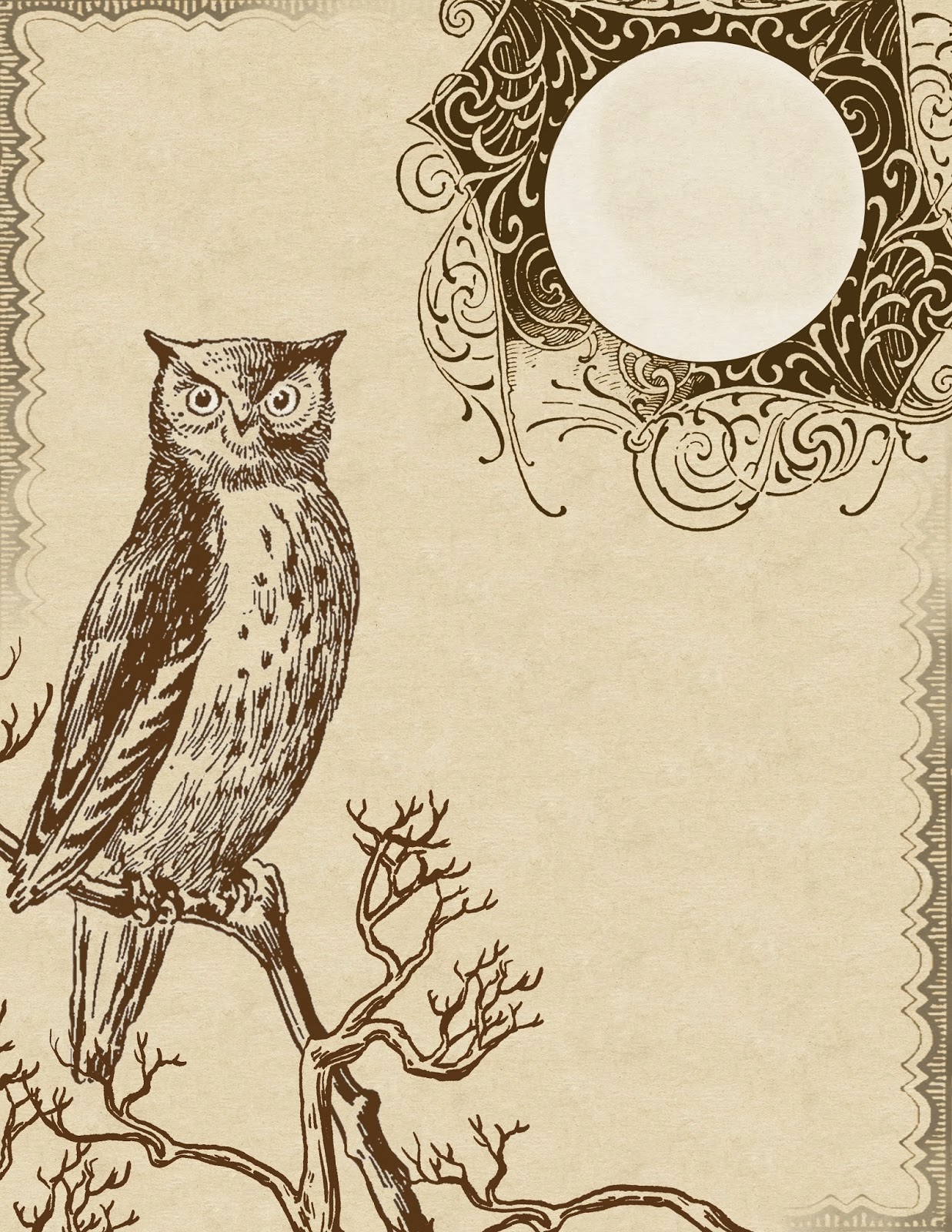Owl Moon Printable Pictures 60