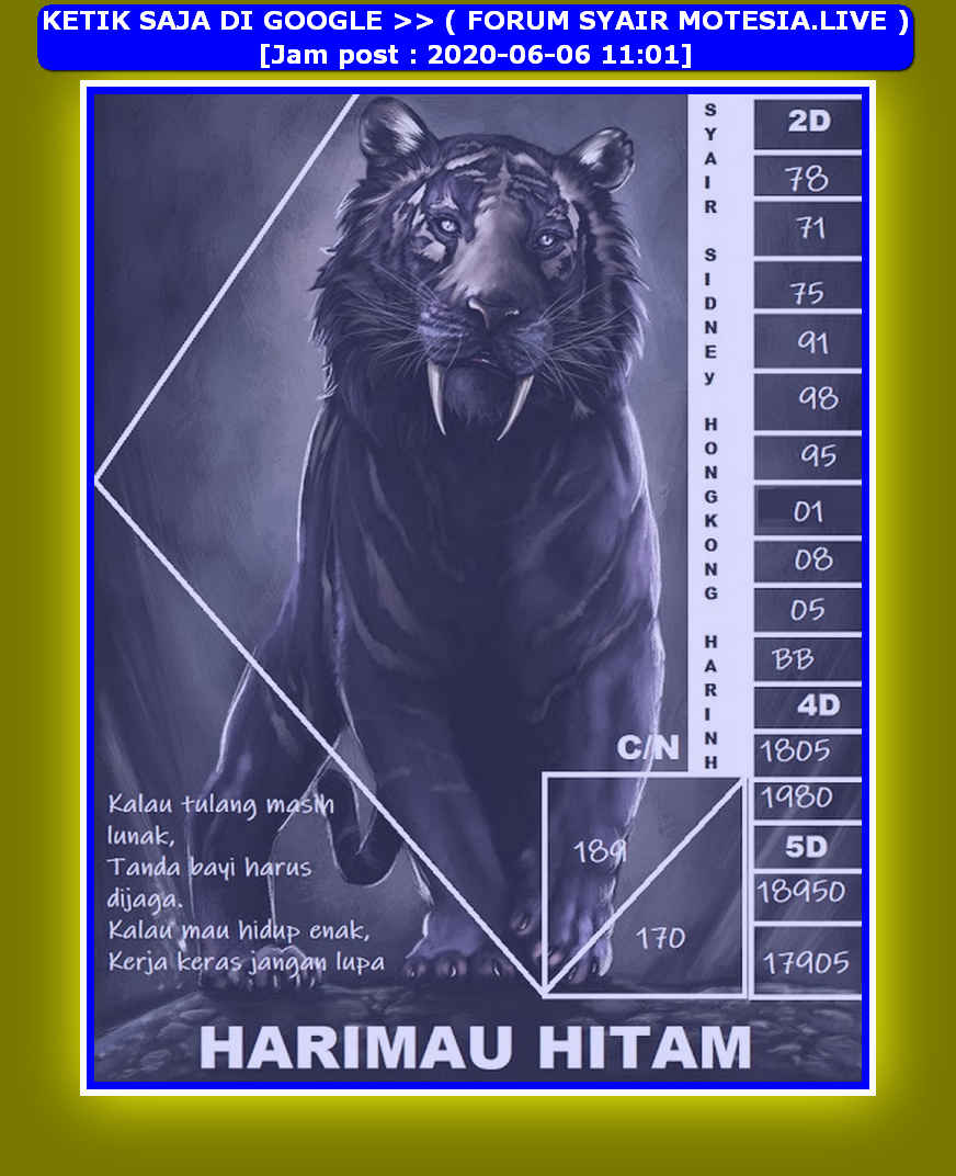 forum syair hk Meloditogel