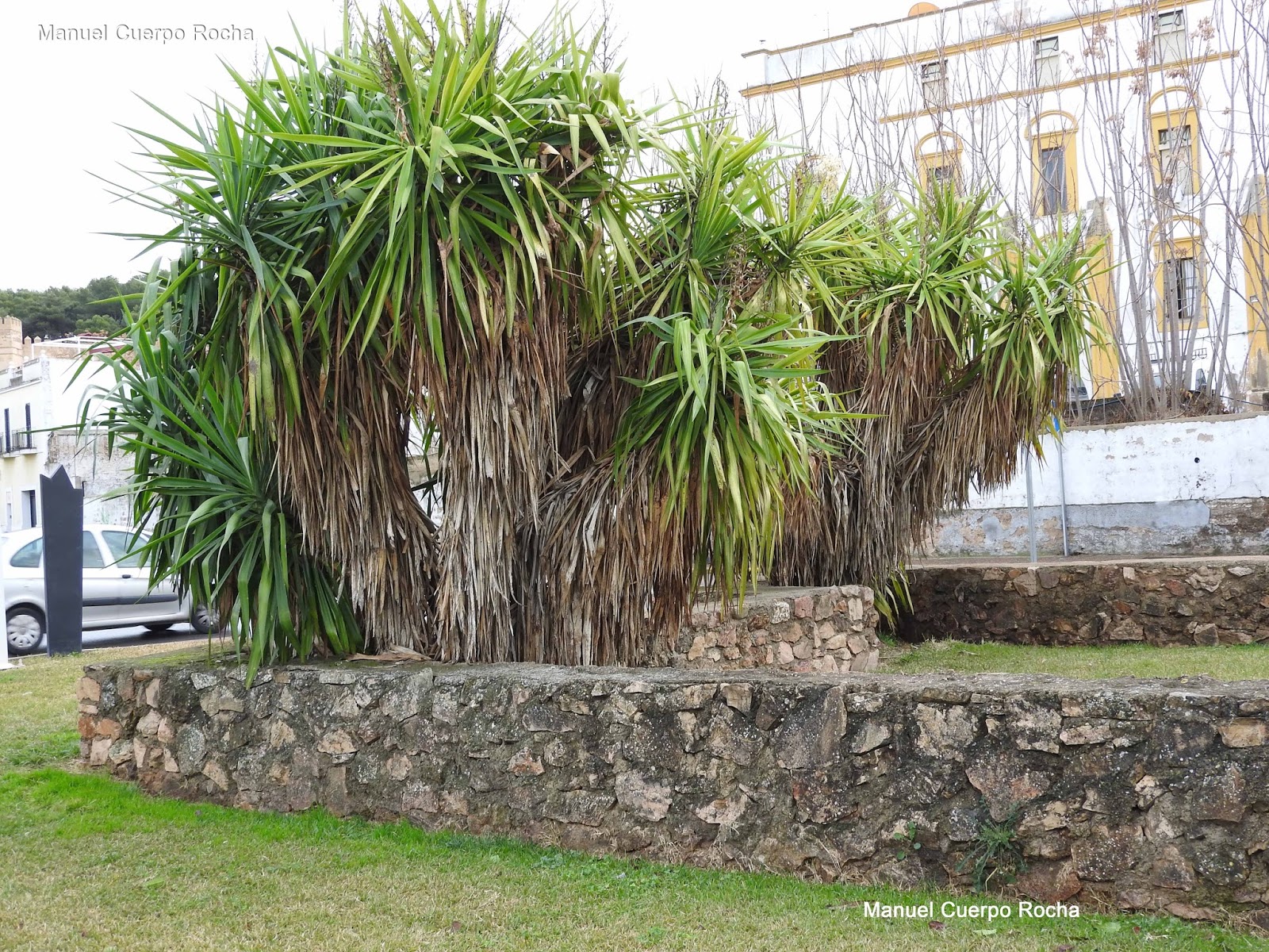 FORTIFICACIÓN ABALUARTADA DE BADAJOZ Y ZONAS ADYACENTES. PUERTAS DEL