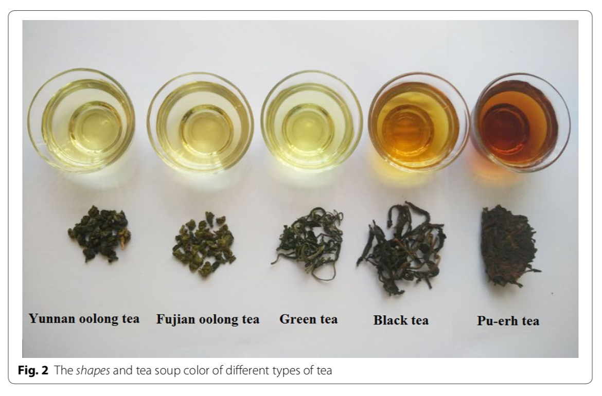 How Oolongs Are Made