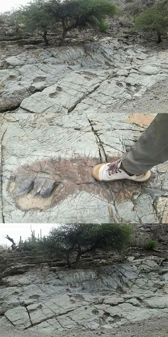 Bolivia has discovered huge traces of giants