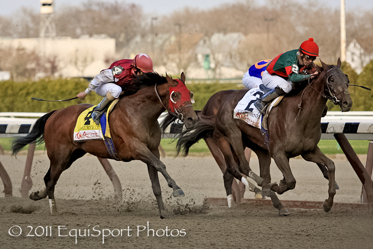 Turf & Dirt On Horse Racing No 'Mo'.. 'Toby' and 'Midnight' in Top 3