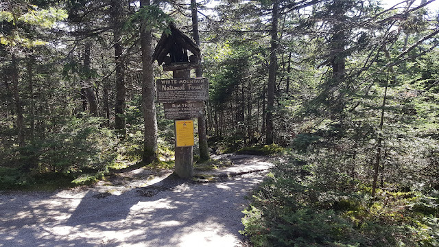 Vue à partir du sentier pour le mont Cannon
