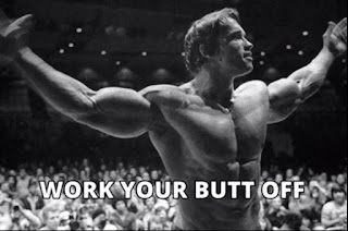 Arnold Schwarzenegger Motivation Rule 5