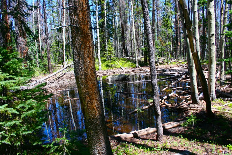 Colorado Lifestyle Kettle Ponds aka Gore Range Trail from North Rock
