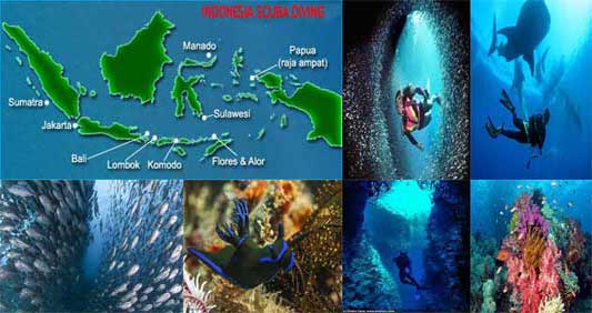 SCUBA DIVING TERBAIK DI INDONESIA