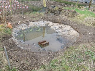 renovating an old pond