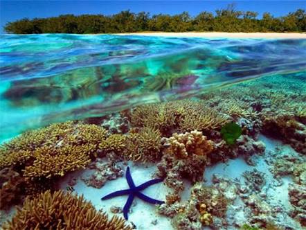 Áreas Naturales Protegidas Áreas de Protección de Flora y Fauna (APFF)