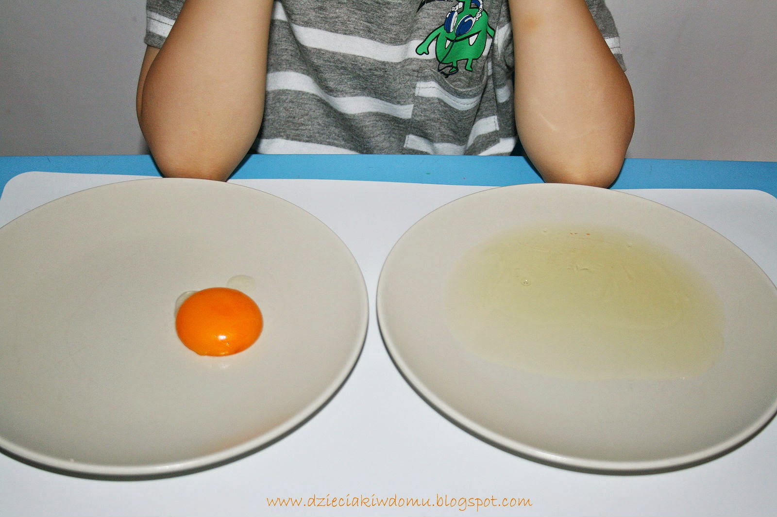 eksperyment dla dzieci z jajkiem