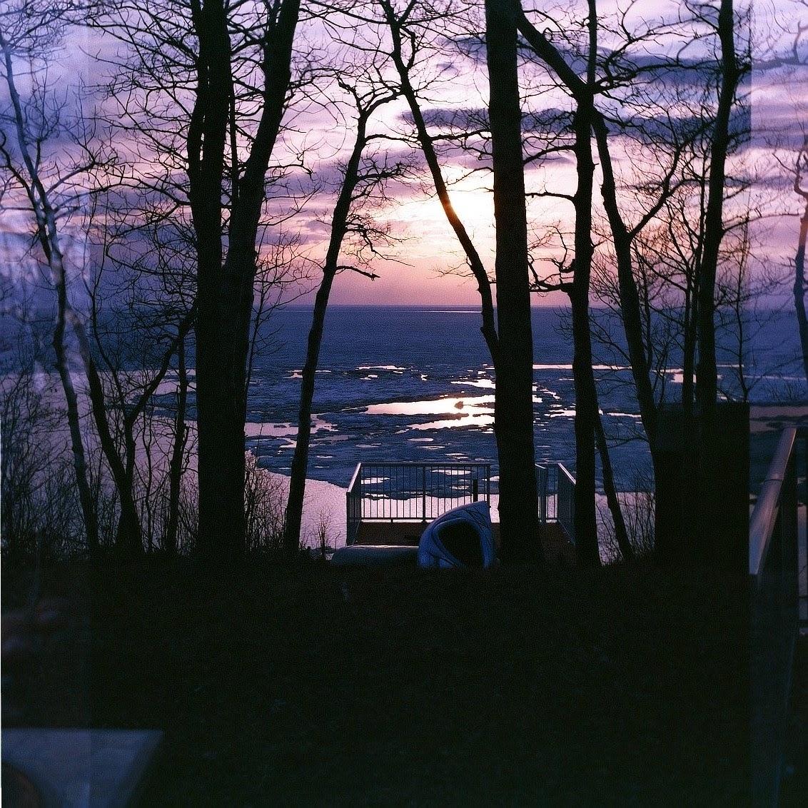 Haus of Margot Pollo Sisters of Beaconia Beach