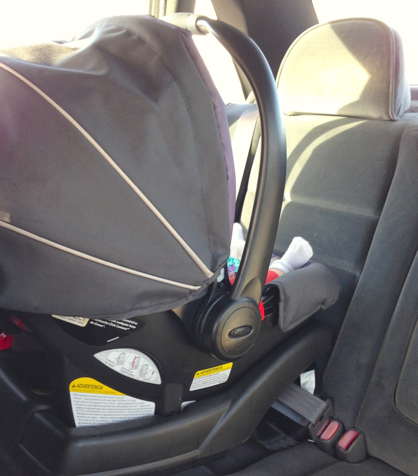 Anchor of Love Safe Oasis