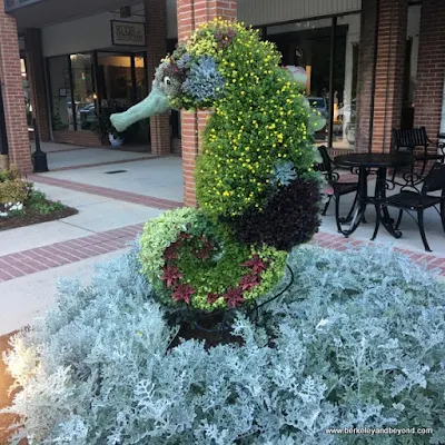 seahorse topiary at South Carolina Festival of Flowers in Greenwood, South Carolina