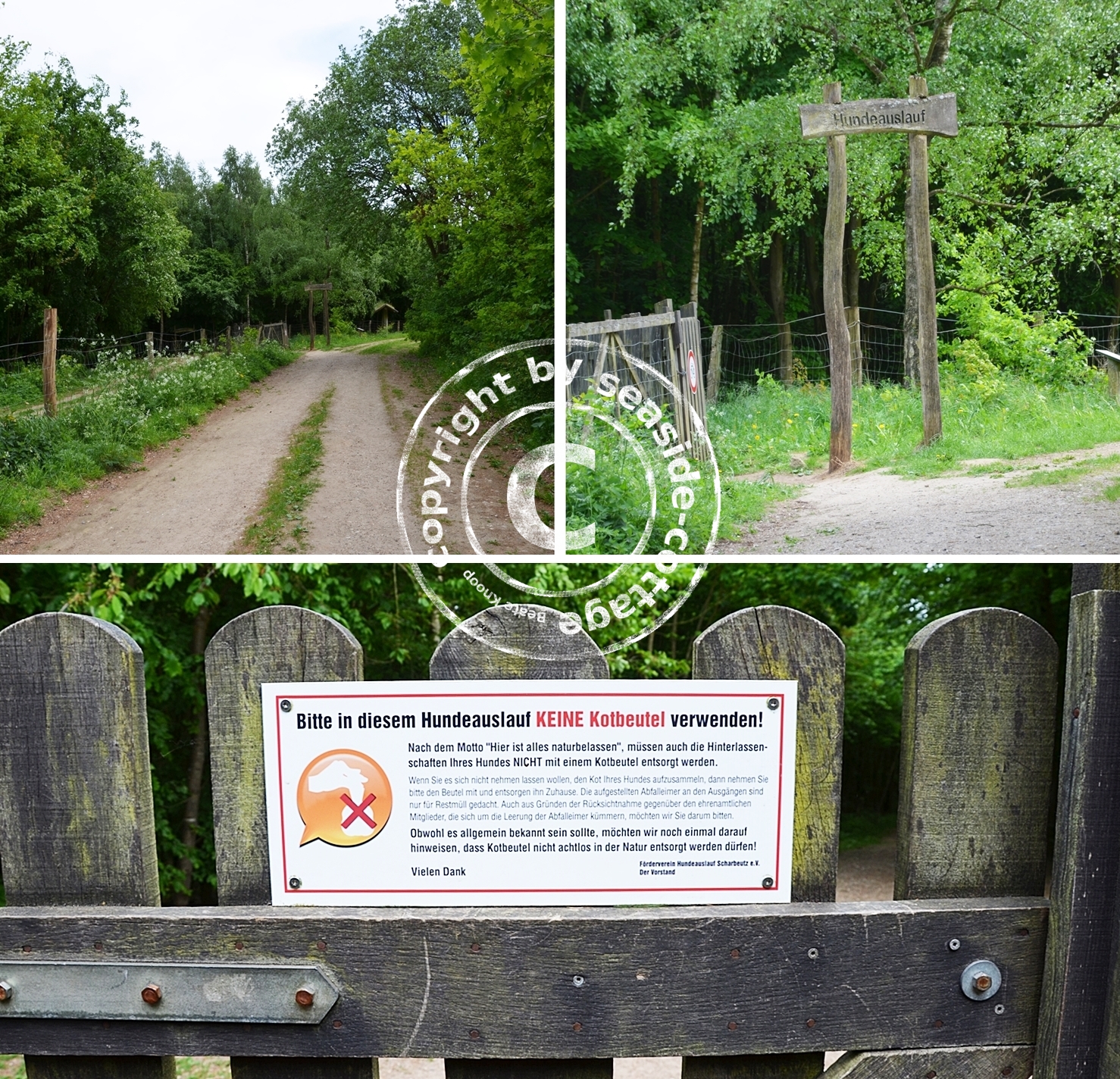 Manus Testwelt Alles Ausser Langweilig Urlaub Im Center Parcs