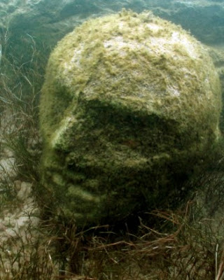 ΠΕΡΙΕΡΓΗ ΑΝΑΚΑΛΥΨΗ : ΑΡΓΕΝΤΙΝΙΚΟ ΠΕΤΡΙΝΟ ΚΕΦΑΛΙ ΒΡΕΘΗΚΕ ΣΤΗ ΠΑΤΑΓΟΝΙΑ  