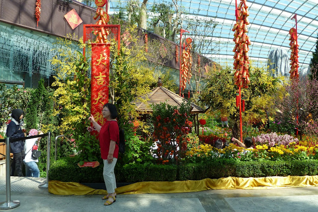 Flower Dome w Singapurze
