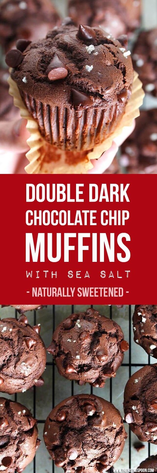 Double Dark Chocolate Chip Muffins with Sea Salt The Rising Spoon
