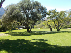 Kirstenbosch  open-air Botanical garden amphitheater .