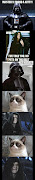 Funny starwars cat. Funny starwars. Share this article :
