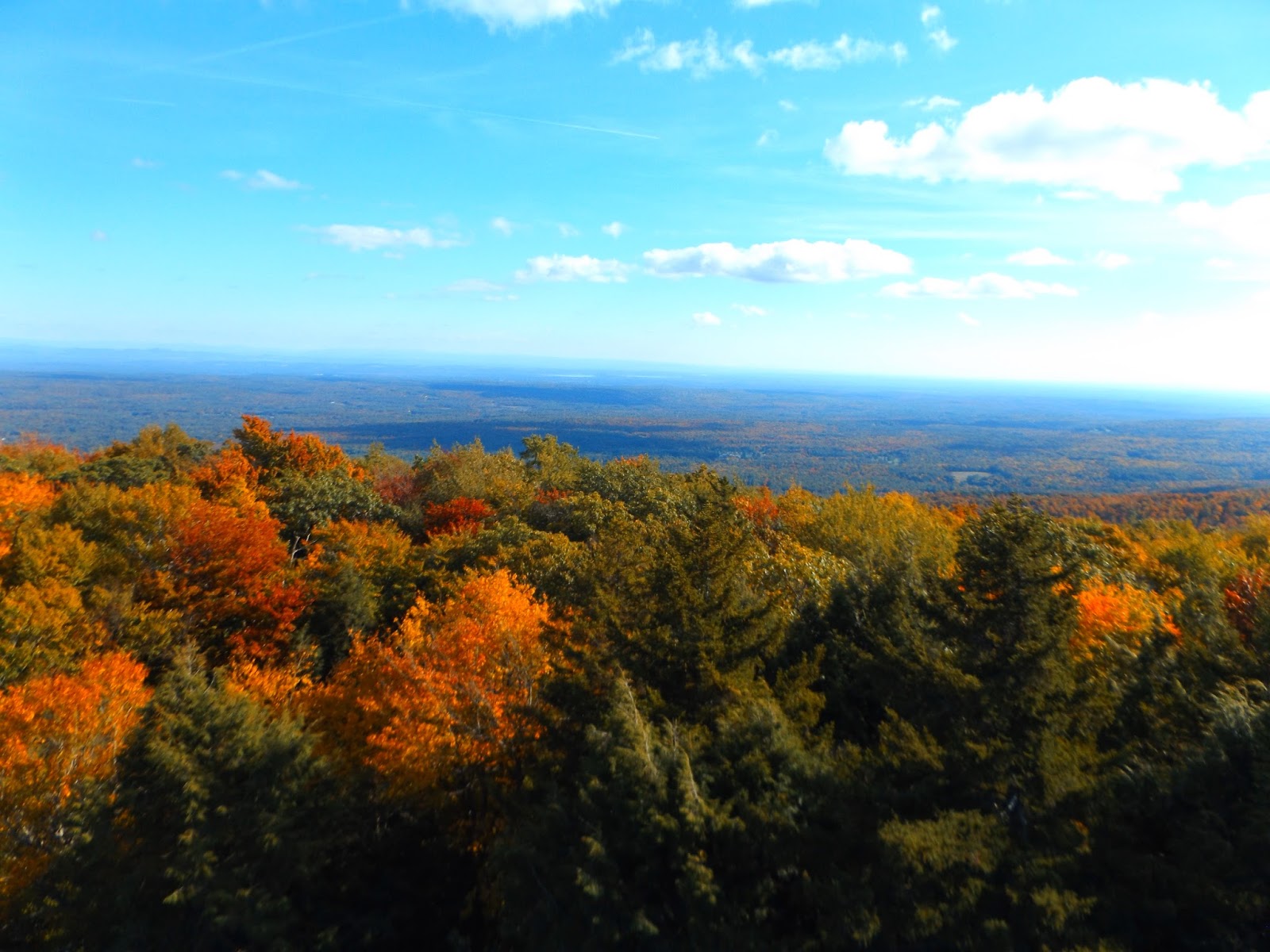 Walking Man 24 7 Spruce Mountain(Southern Adirondacks)