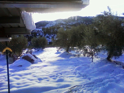 clima, Beceite, nieve, frío, nevada, está nevando, Beseit, neu, olivares