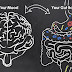 The Cause of Depression May Be Hidden in Your Gut, Not Your Brain