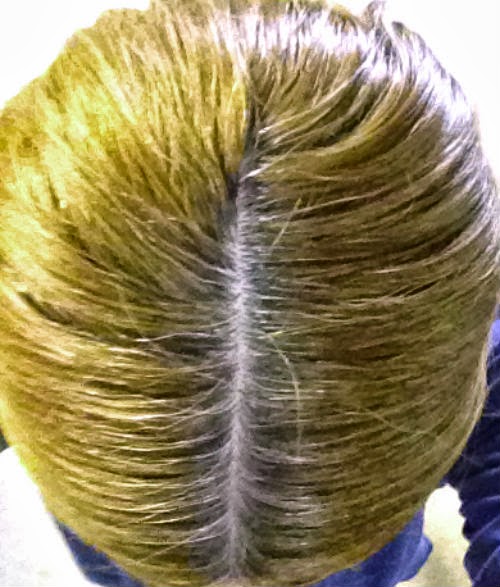 MY HAIR COLOR Beauty 101 By Lisa