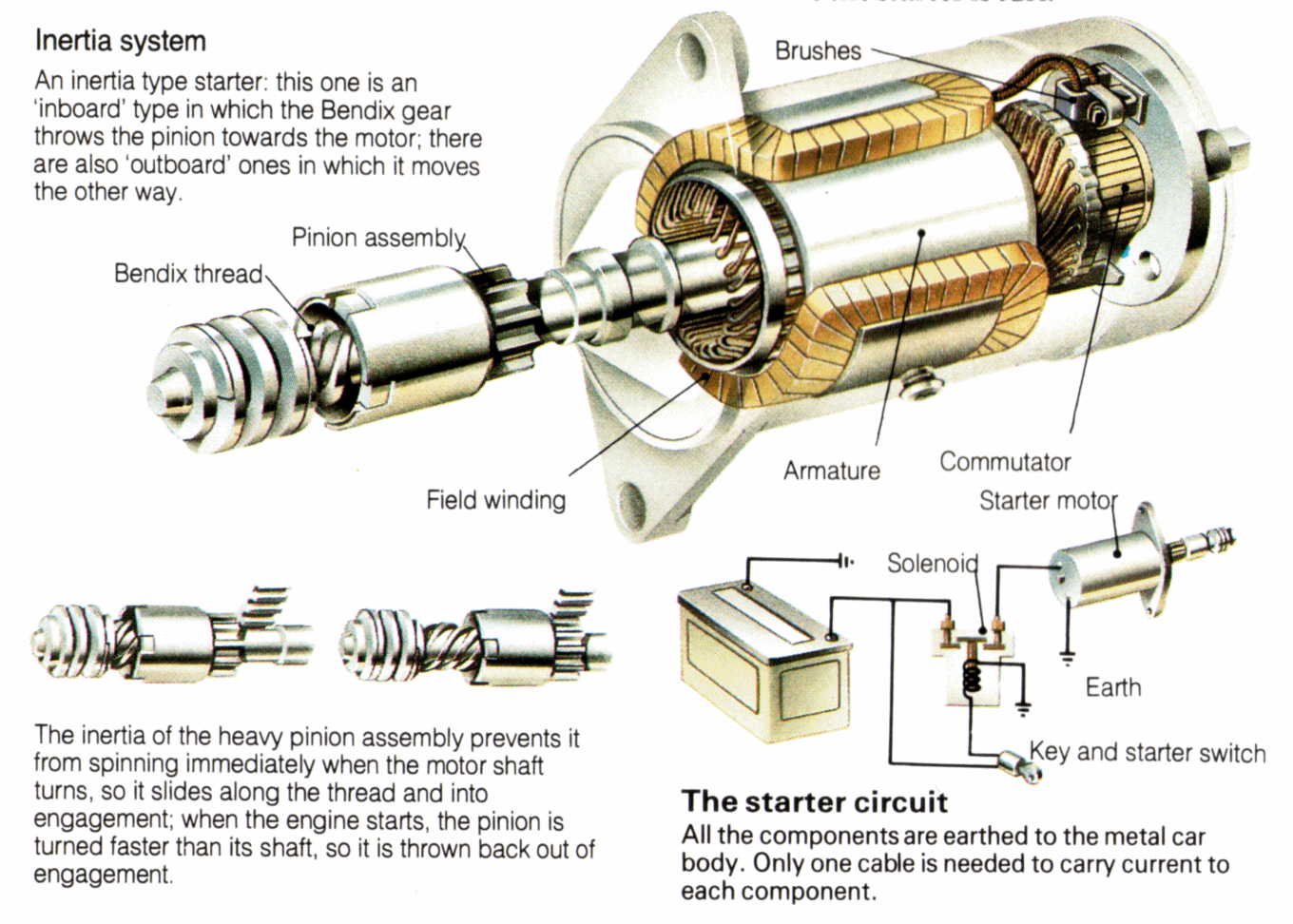 Daniel for a Better Future koil