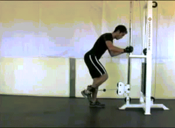ejercicios gluteos con poleas ejercicios gluteos con poleas