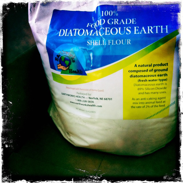 Pecked By Birds Diatomaceous Earth