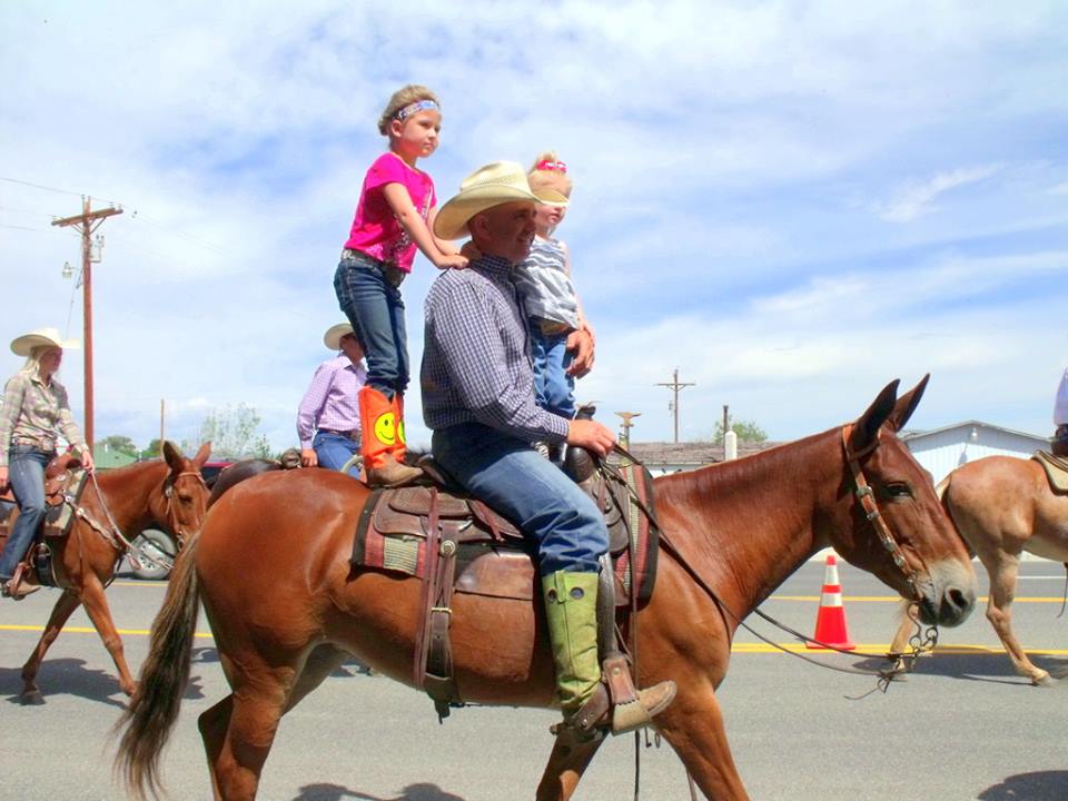 On the Road Jake Clark's Mule Days Ralston, WY